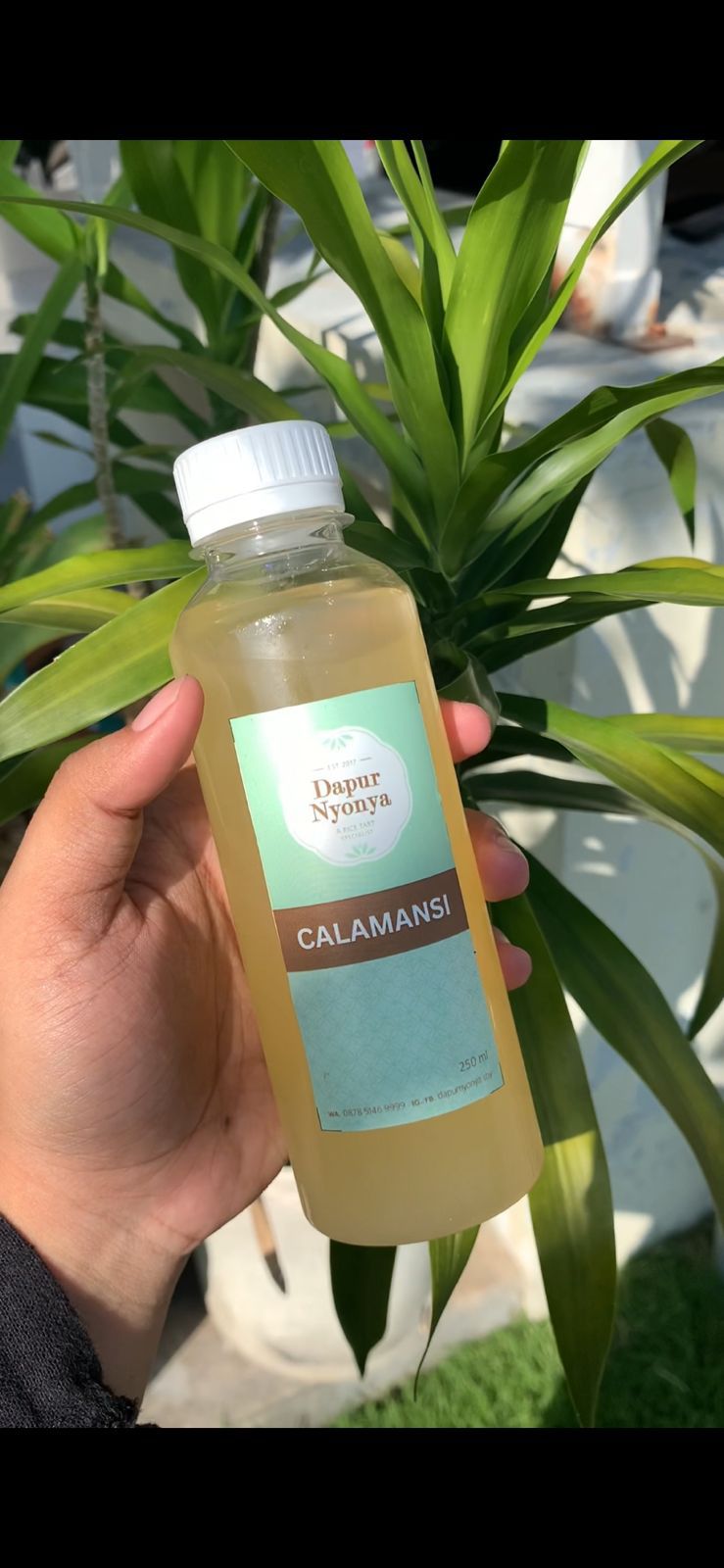 Calamansi Drink